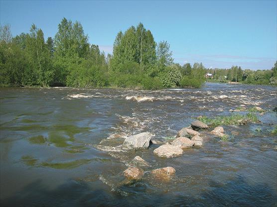 Ruskeavetinen eteläsuomalainen joki